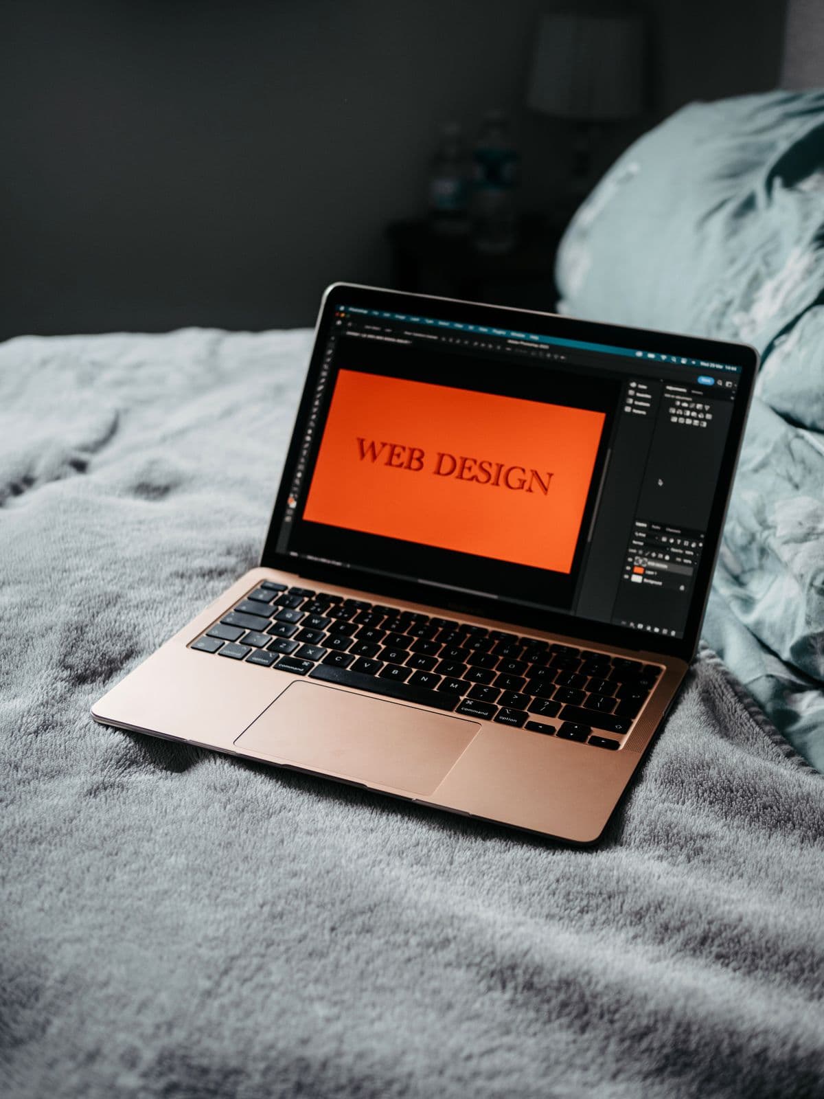 UI/UX Design Program